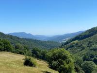 a view of the mountains from a grassy hill at Ferme De La Prairie D Hergauchamps mit Sauna und Whirlpool in Sainte-Marie-aux-Mines