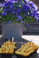 a plate of french fries and a pot of flowers at Huize Maurits in The Hague