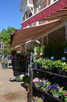a flower shop with a bunch of flowers at Huize Maurits in The Hague