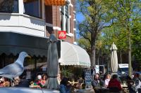 a group of people sitting at tables with umbrellas at Huize Maurits in The Hague