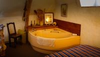 a bathroom with a large tub and a bed at Studio indépendant ,Manoir de la Vove,Perche in Corbon