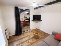 Televízia a/alebo spoločenská miestnosť v ubytovaní Superbe appartement au cœur du centre ville
