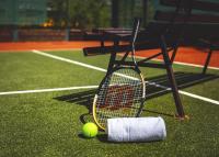 Tenis a/nebo squash v ubytování Resort Čapí Hnízdo nebo okolí