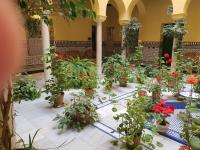 Půdorys ubytování Apartamento Centro de Sevilla Histórico