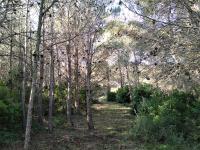 Plán poschodí v ubytovaní Bergerie eco dans la nature