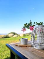 Vonkajšia záhrada v ubytovaní B&B Cà Montemezzano