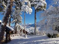 a snowy forest with snow covered trees and a house at Magnifique chalet en rondins avec sauna - Vercors in Villard-de-Lans
