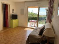Televízia a/alebo spoločenská miestnosť v ubytovaní T2 en rez-de-jardin avec terrasse au Rayol-Canadel - FR-1-100-283