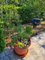 Vonkajšia záhrada v ubytovaní Apartman Sophie - 67m2- Grill - Garden