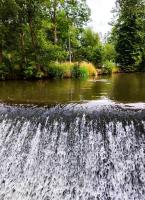 Przyroda w pobliżu tego domu wakacyjnego