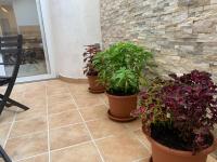 Půdorys ubytování Patio Port Serrallo