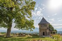 a house on a hill with a tree at Les Tours Carrées in La Motte-Servolex