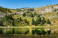 Príroda v okolí apartmánu