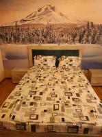 Postel nebo postele na pokoji v ubytování LG apartment bnb