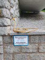 Plán poschodí v ubytovaní Apartament Włochatka z sauną fińską