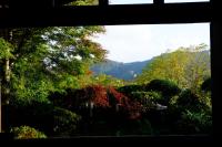 a window view of a garden with trees and mountains at Guesthouse Sakuya in Fujikawaguchiko