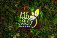 Ogród w obiekcie A16 Design Panzió