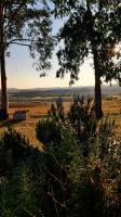 Plán poschodí v ubytovaní Agriturismo Uliveto Gretacci