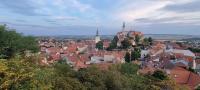 Przyroda w pobliżu tego apartamentu