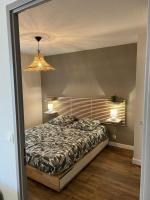 a bedroom with a bed and a chandelier at Résidence Océane Appartement Nature in Albi