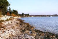 a river with rocks and trees on the shore at Apartments with a parking space Karigador, Novigrad - 2534 in Karigador