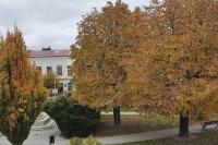 Plan piętra w obiekcie Apartament Obrońców Pokoju 6