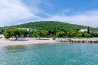 a beach with trees and a mountain in the background at Family Room Drace 4550a in Drače