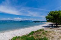 a beach with a tree and the water at Family Room Drace 4550a in Drače