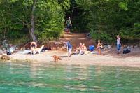 a group of people on a beach with a dog at Double Room Krk 5294b in Krk