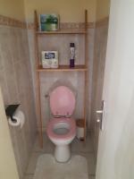 a small bathroom with a pink toilet with shelves at Maison Marilene in Ajat