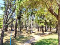 A garden outside La Dorada