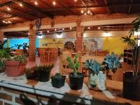 Billede fra billedgalleriet på Hacienda San Miguel i Tlayacapan