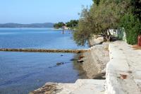 a beach with a tree and a body of water at Studio Sukosan 14681a in Sukošan