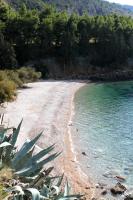 a beach with a bunch of plants and water at Apartments and rooms by the sea Komiza, Vis - 2431 in Komiža