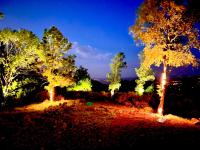 a group of trees lit up at night at Bienvenue au Mas du Roulier, villa provençale avec vue hypnotique sur la chaine des Puys in Thiers
