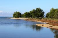 Půdorys ubytování Apartments by the sea Zaton, Zadar - 15917