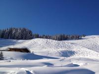 Wallegg Lodge - Alpine Premium Chalet - Ski In-Ski Out - Real Alpine Location Saalbach v zime