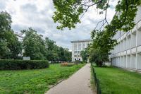 Vonkajšia záhrada v ubytovaní Wspólna 54A - Red - Good Apartments