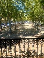 a tree lined street with a wrought iron fence at Au bout du pré in Pézenas