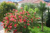 Zahrada ubytování Apartments by the sea Trogir - 8683
