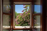 Zahrada ubytování Casa-Pietra Porec