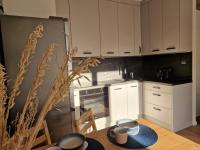 Kuchyňa alebo kuchynka v ubytovaní Apartament Iławianka