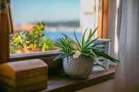 Plán poschodí v ubytovaní Apartment Sukosan 10418b