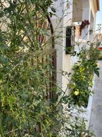Zahrada ubytování La Marina Urb, Beautiful 4 bedroom House, Alicante, San Fulgencio, Spain