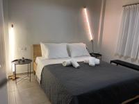 The floor plan of Nikko Mini Suite