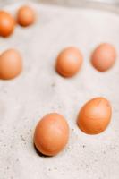 Fotografie z fotogalerie ubytování Akzent Hotel Zur Grünen Eiche v destinaci Bispingen