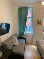 TV a/nebo společenská místnost v ubytování Charles Square Prague Apartment