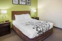 Schlafzimmer mit einem Bett mit einer schwarzen und weißen Bettdecke in der Unterkunft Sleep Inn &amp; Suites Bakersfield North in Bakersfield
