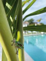 The swimming pool at or close to Il Borghetto Resort & Spa