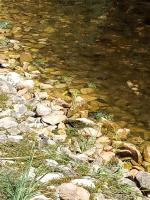 a body of water with rocks andgrass next to the water at Echappée sauvage in Masquières